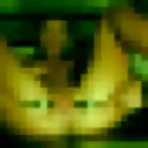 rencontre japonaise à Gif-sur-Yvette : photo de Rui, 27 ans - accès libre