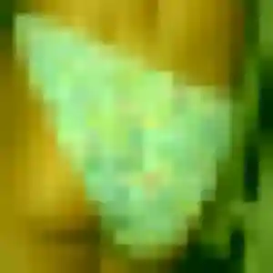 rencontre japonaise à Gignac-la-Nerthe : photo de Nozomi, 37 ans - accès libre