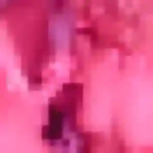 Tuyet de Gravelines, 38 ans - rencontre japonaise discret