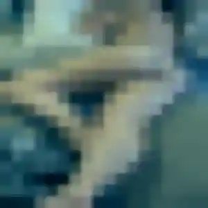 Belle Ngoc-Lan, 42 ans à Grenoble - la contacter