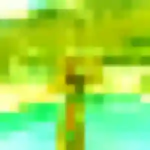 Chiaki, fille de 36 ans cherche rencontre japonaise à Grigny