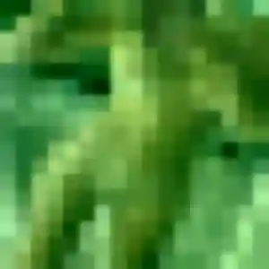 Découvre Ga-Eun, 22 ans à Guebwiller gratuitement