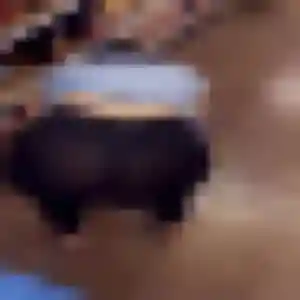 rencontre japonaise à Guebwiller : profil de Keiko, 24 ans - accès libre