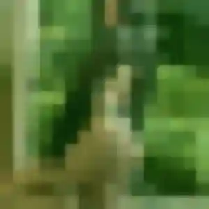 Di, 44 ans, connectée à Guidel pour un rencontre japonaise