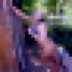 rencontre japonaise à Guilherand-Granges : profil de Nit, 22 ans - inscription gratuite