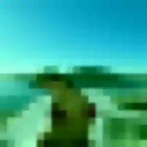 Profil de Pich à Guilherand-Granges (37 ans) - rencontre japonaise gratuit