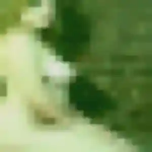 rencontre japonaise à Guipavas : photo de Suong, 32 ans - accès libre