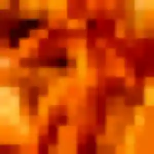 Fe de Gujan-Mestras, 32 ans - rencontre japonaise en toute liberté