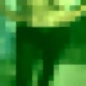 Profil de Loan à Halluin (31 ans) - rencontre japonaise anonyme