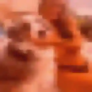 Yukiko, femme de 37 ans veut rencontre japonaise à Hayange