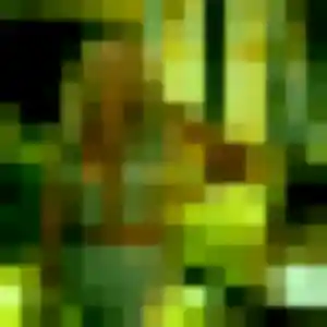 Fu, 24 ans, en ligne à Hem pour une rencontre coquine