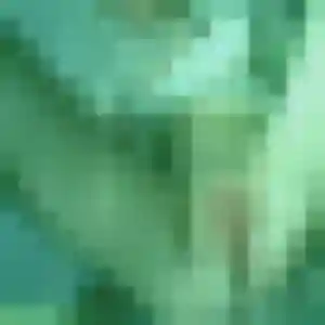 Su-Bin, 44 ans, dispo pour rencontre japonaise à Hénin-Beaumont