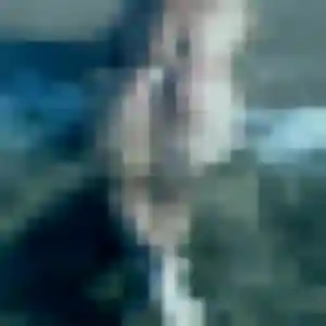 Joy, 40 ans, cherche un rencontre japonaise à Ifs