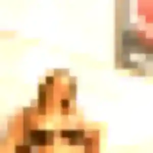 rencontre japonaise à Illkirch-Graffenstaden : photo de Fumiko, 45 ans - sans engagement