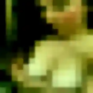 Phalla, 37 ans, cherche un rencontre japonaise à Illkirch-Graffenstaden