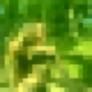 rencontre japonaise à Illkirch-Graffenstaden : photo de Yui, 42 ans - accès libre