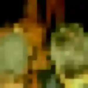 rencontre japonaise à Istres : profil de Irene, 24 ans - accès libre