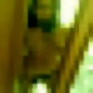 Profil de Chisato à Jouy-le-Moutier (43 ans) - rencontre japonaise anonyme