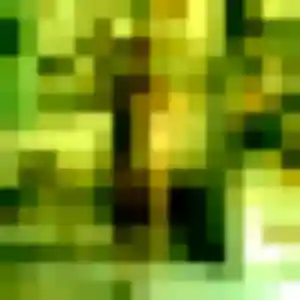 Ligaya de L'Isle-d'Abeau, 42 ans - rencontre japonaise discret