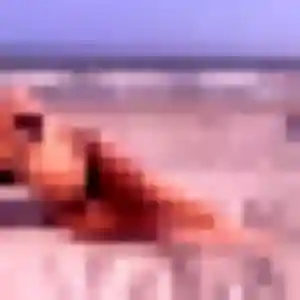 Suda de L'Union, 40 ans - rencontre japonaise sans lendemain