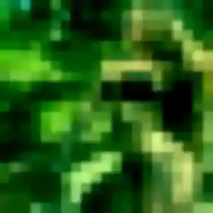 Photo exclusive de Bianca, 36 ans à La Baule-Escoublac - rencontre sans lendemain