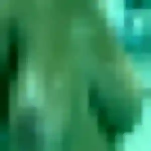 Profil de Lan à La Baule-Escoublac (37 ans) - rencontre japonaise discret