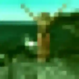 Lien, 40 ans, en ligne à La Celle-Saint-Cloud pour un rencontre japonaise