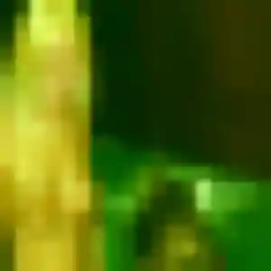 Chae-Yeon de La Chapelle-Saint-Luc, 31 ans - rencontre japonaise sans prise de tête