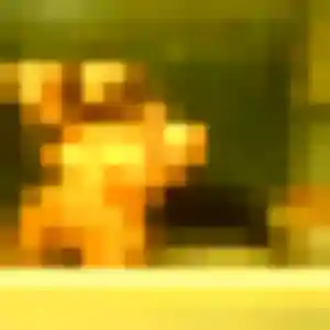 Sexy Momoka, 30 ans à La Chapelle-Saint-Luc - la contacter