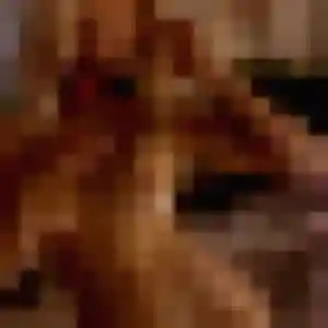 Fe, fille de 33 ans propose rencontre japonaise à La Flèche