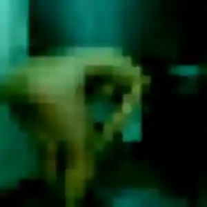 rencontre japonaise à La Garenne-Colombes : profil de Bopha, 40 ans - accès libre