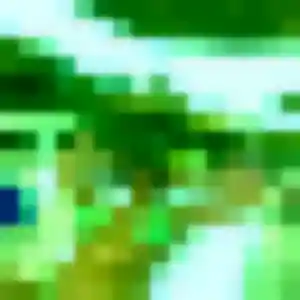 rencontre japonaise à La Hague : profil de Harumi, 36 ans - accès libre