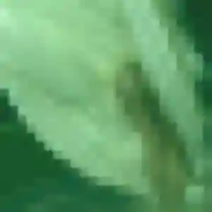 Rencontre Giang, 42 ans à La Motte-Servolex gratuitement