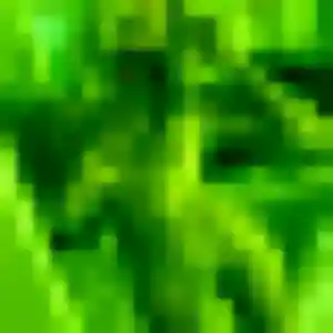 Belle Srey, 44 ans à La Trinité - la contacter