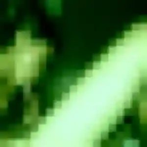 Profil de Maly à La Trinité (32 ans) - rencontre japonaise anonyme