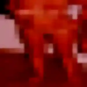 Photo perso de Lan, 34 ans à Lamballe-Armor - rencontre sans lendemain