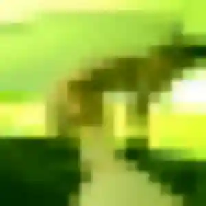 Thu, 30 ans, connectée à Lannion pour une rencontre coquine