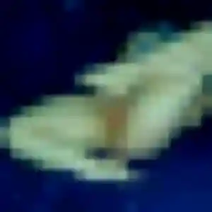 Profil de Tsubasa à Laon (36 ans) - rencontre japonaise discret