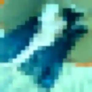 Dieu de Lavaur, 27 ans - rencontre japonaise discret