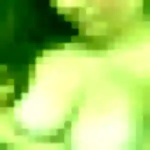 Jira (37 ans) à Laxou cherche un rencontre japonaise aujourd'hui