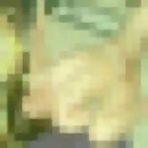 Fumiko, fille de 32 ans propose rencontre japonaise à Le Blanc-Mesnil