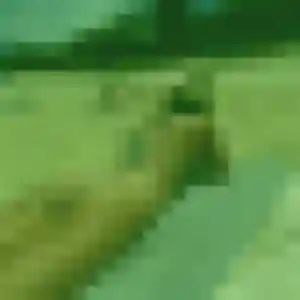 rencontre japonaise à Le Bouscat : photo de Ke, 32 ans - inscription gratuite