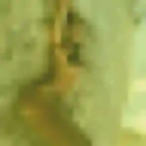 Photo exclusive de Rosalinda, 45 ans à Le Chesnay-Rocquencourt - rencontre coquine