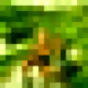 Yeon-Seo, 30 ans, cherche un rencontre japonaise à Le Grand-Quevilly