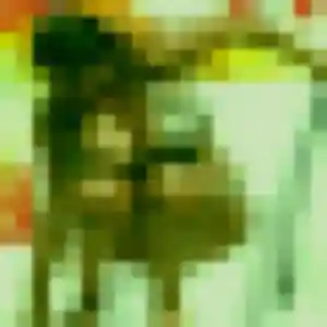 Photo exclusive de Wen, 24 ans à Le Pecq - rencontre coquine