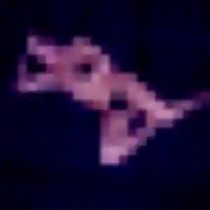 Jolie Ga-Eun, 36 ans à Le Perreux-sur-Marne - découvrir son profil