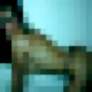 Tsubaki, fille de 45 ans veut rencontre japonaise à Le Pradet