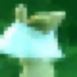 Zhen, 36 ans, dispo pour rencontre japonaise à Le Relecq-Kerhuon