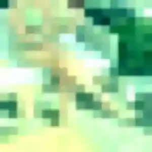 Esperanza, femme de 33 ans cherche rencontre japonaise à Les Avirons