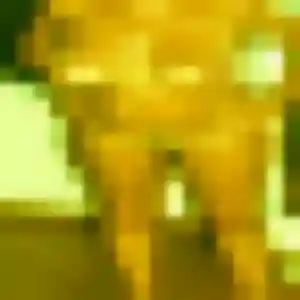 rencontre japonaise à Les Lilas : profil de Suzume, 22 ans - accès libre